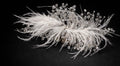 White feather